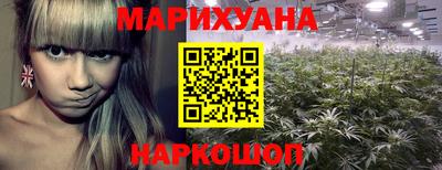индика Малгобек