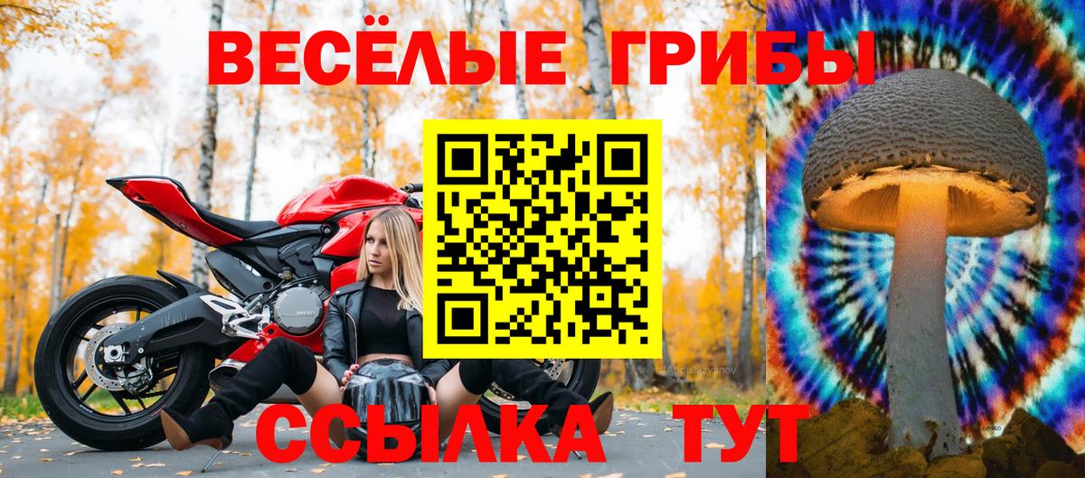 Псилоцибиновые грибы прущие грибы  Галлюциногенные грибы мухоморы  Вход с VPN  Ялта 