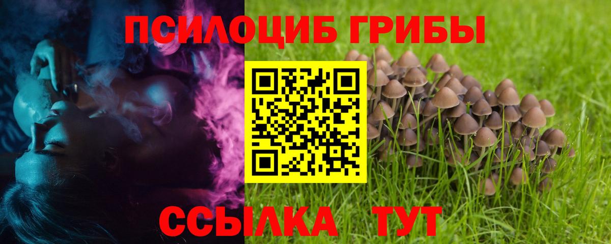 Галлюциногенные грибы MAGIC MUSHROOMS Ялта